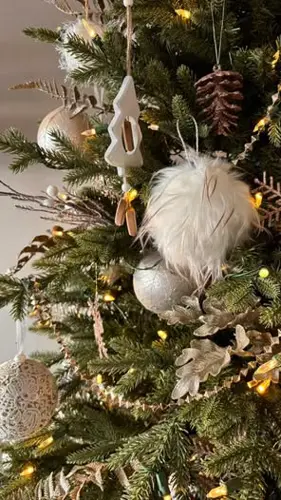 Image Ã©vÃ©nement Le Point-Virgule