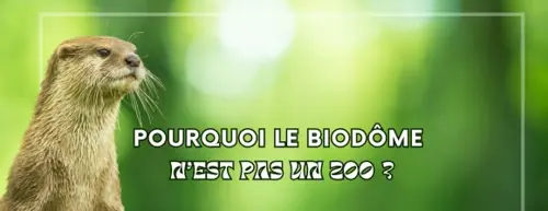 Image Ã©vÃ©nement Les Amis du Biodôme