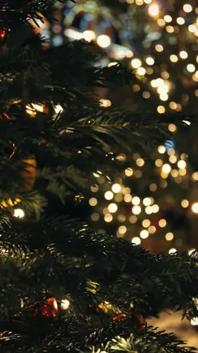 Image event Restaurant La Traite