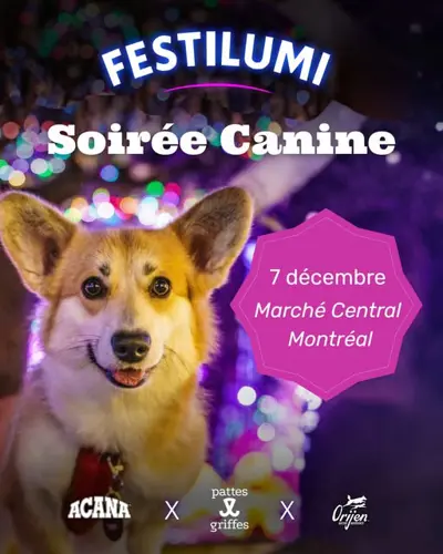 Image Ã©vÃ©nement Pattes et Griffes