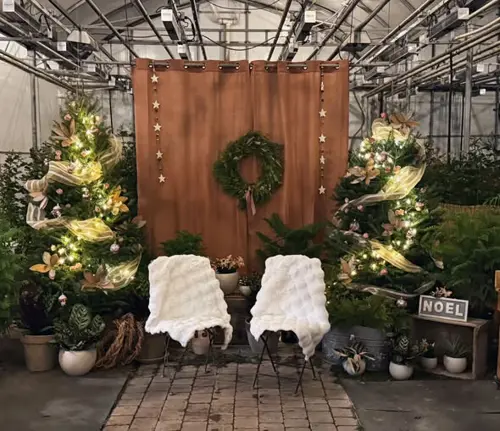 Image event Rose Café