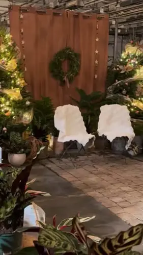 Image Ã©vÃ©nement Rose Café