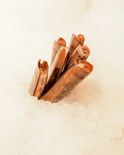 Image Ã©vÃ©nement Palomar