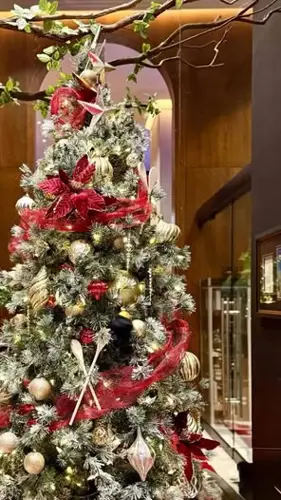 Image Ã©vÃ©nement Restaurant Jérôme Ferrer - Europea