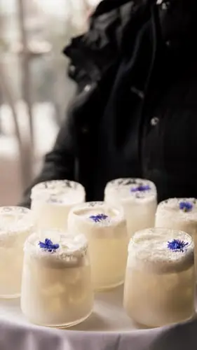 Image Ã©vÃ©nement Terrasse William Gray