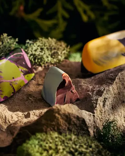 Image event Café boréal (Gourmet Sauvage)