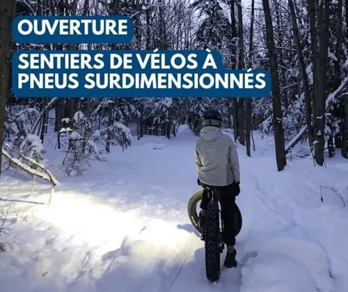 Image Ã©vÃ©nement Cantine Bellevue