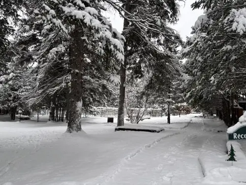 Image Ã©vÃ©nement La Sapinette