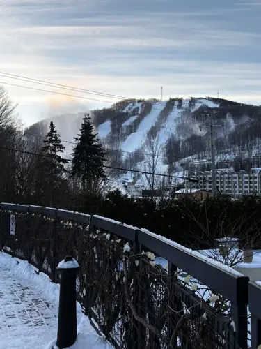 Image event Terrasse La Panoramique