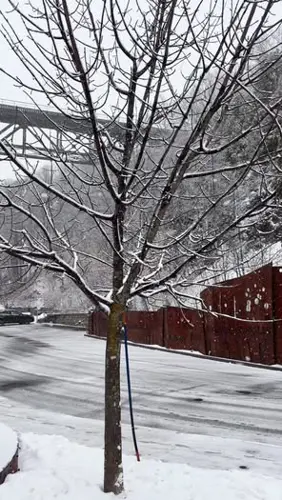 Image event QUAI 1635 - Lévis