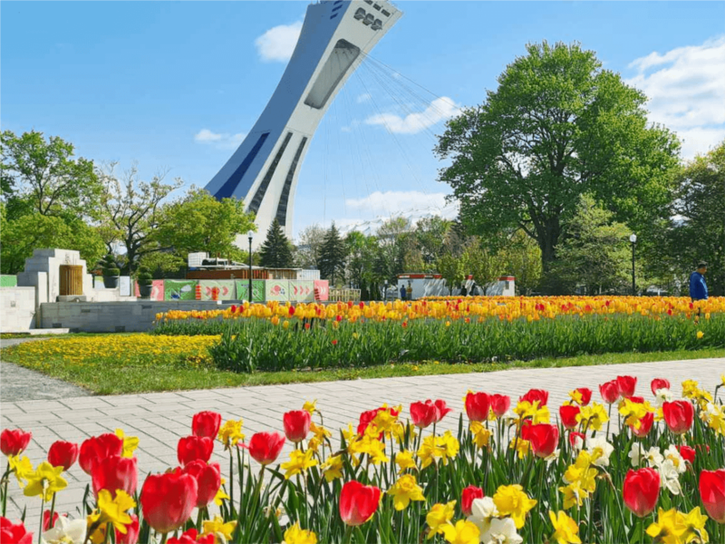 Les 5 meilleurs restaurants les plus près du Jardin botanique