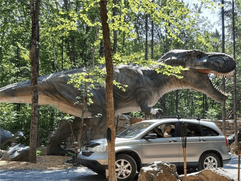 Quels sont les restaurants près du Woodooliparc?