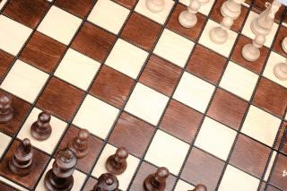 Thematic restaurants in Quebec: challenges and adjustments