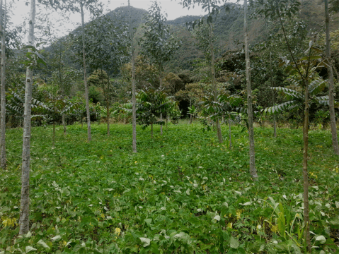 Coffee and project creators