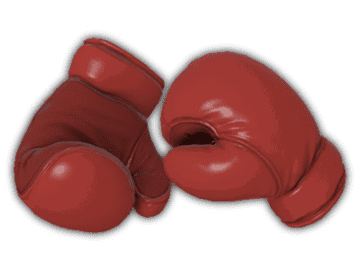 Quand la soirée de boxe est profitable