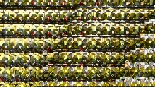 Upcoming changes to rules on alcohol in restaurants