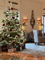 Image concours Starbucks Coffee