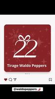 Image concours Waldo Peppers