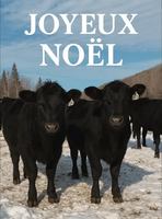 Image concours Boeuf Tremblant