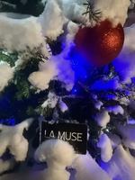 Image contest Resto La Muse Drummondville