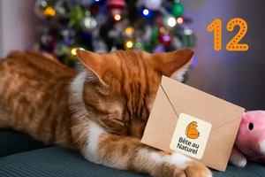 Image contest Belgo Resto et Traiteur