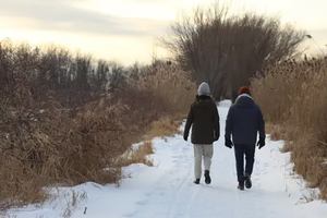 Image contest Café de l'île