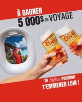 Image contest Toujours Mikes