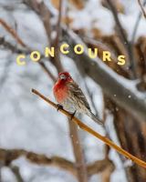 Image contest Café des Amis - Pavillon du Lac-aux-Castors