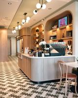 Image concours Ratatouille