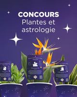 Image contest Café RICARDO Laval