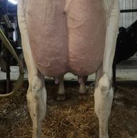 Image contest Lait Charbonneau