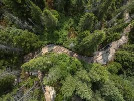 Image contest Buvette du moulin