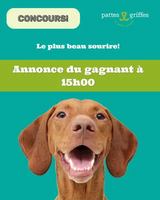 Image concours Pattes et Griffes