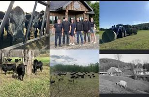 Image contest Boeuf Tremblant