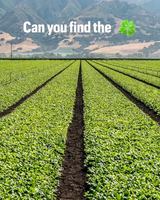 Image contest Restaurant Subway