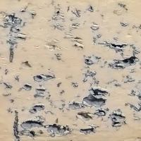 Image concours Yannick Fromagerie Québec