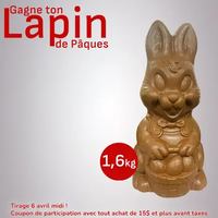 Image contest Toujours Mikes