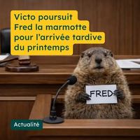 Image contest Bistro-bar Le Mont