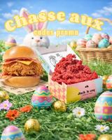 Image concours Jack Le Coq