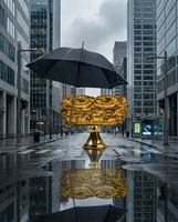 Image concours Toujours Mikes