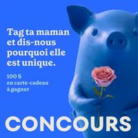 Image contest Cochon Dingue Carrefour Saint-Romuald