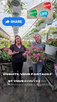 Image contest Le Saint Ben's