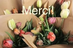 Image concours Café La Caisse