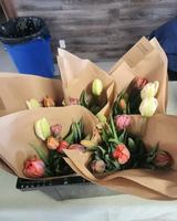 Image concours Café La Caisse