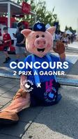 Image contest Cochon Dingue Carrefour Saint-Romuald