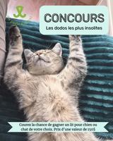 Image contest Pattes et Griffes