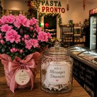 Image concours Pasta Pronto