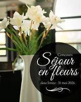 Image contest Bistro Le Balzac