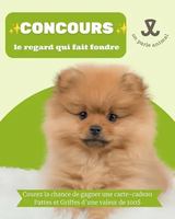 Image contest Pattes et Griffes