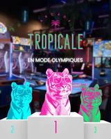 Image event Arcade Tropicale - Saint-Eustache